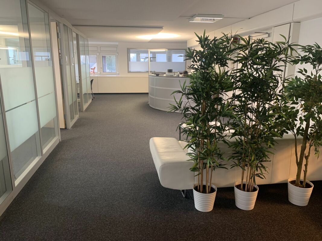 Premier coup d'oeil 1