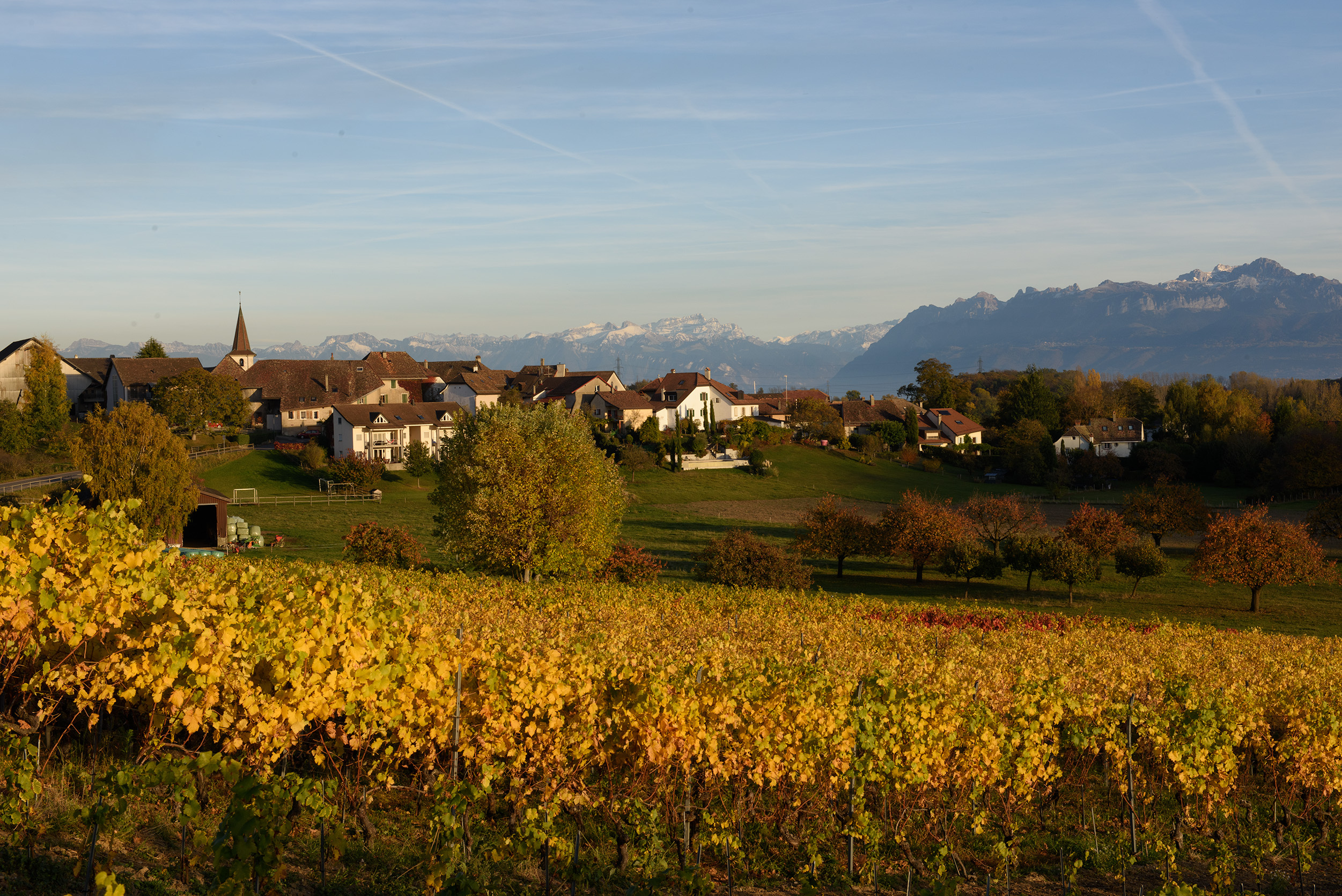 Kleines Dorf Villars-sous-Yens Kleines Dorf Villars-sous-Yens