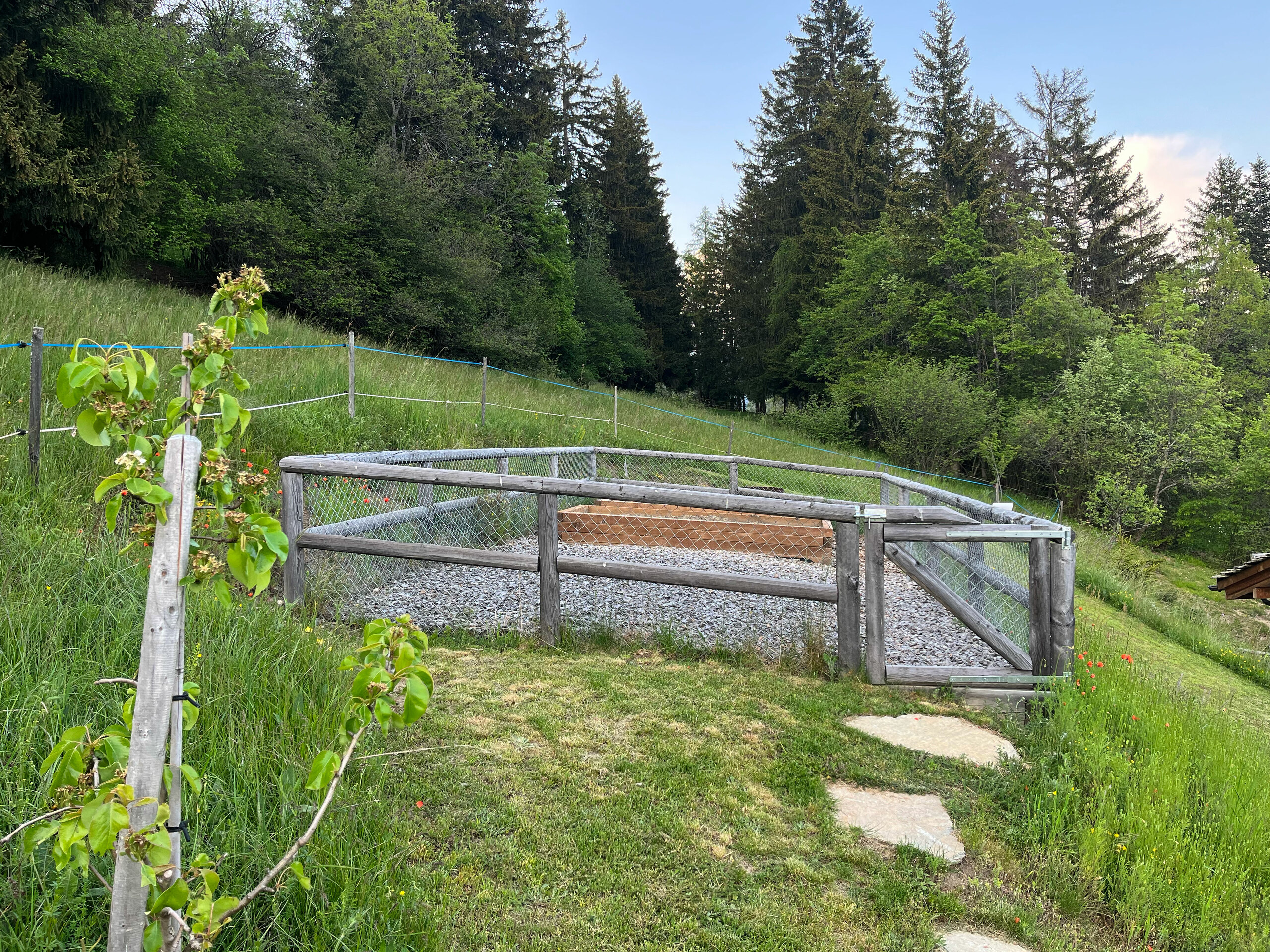 Jardin potager et brasero Jardin potager et brasero