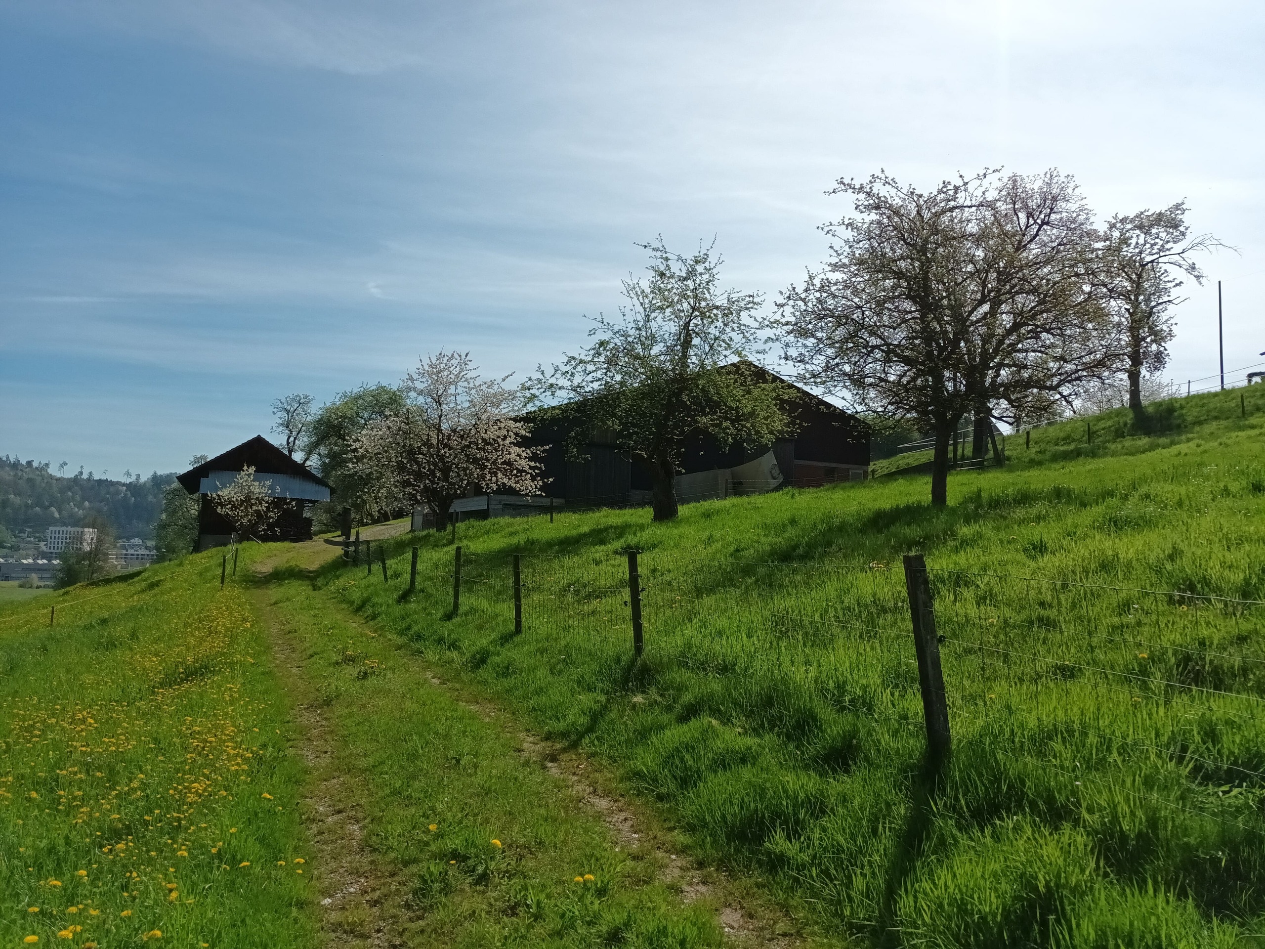 Blick Scheune und Schopf aus Westen Blick Scheune und Schopf aus Westen
