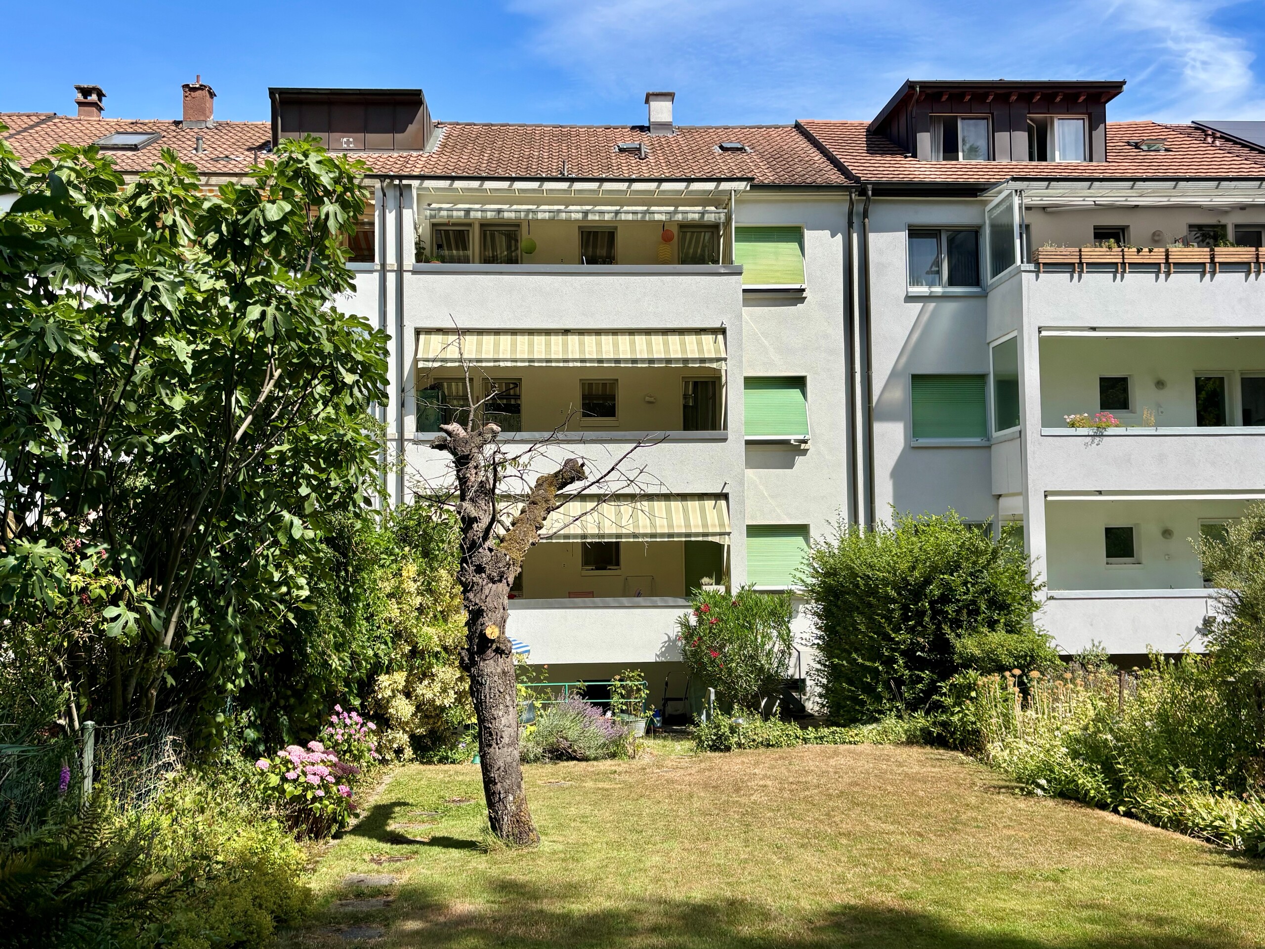 Ansicht hinten