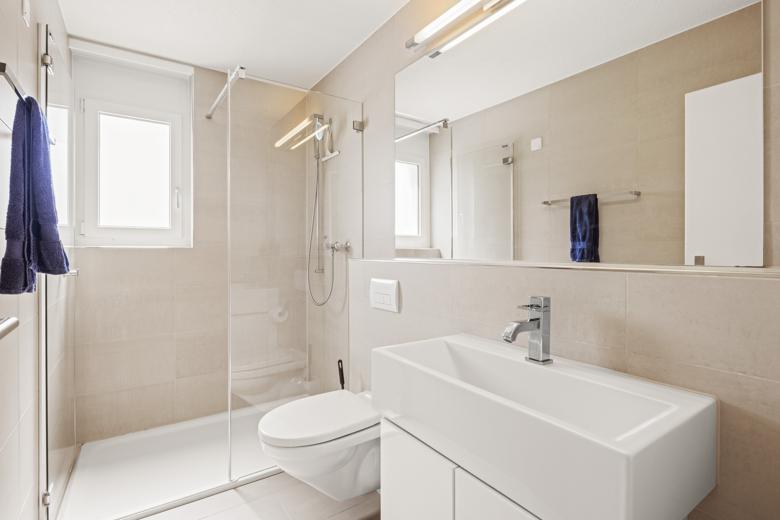 Interior view 5
