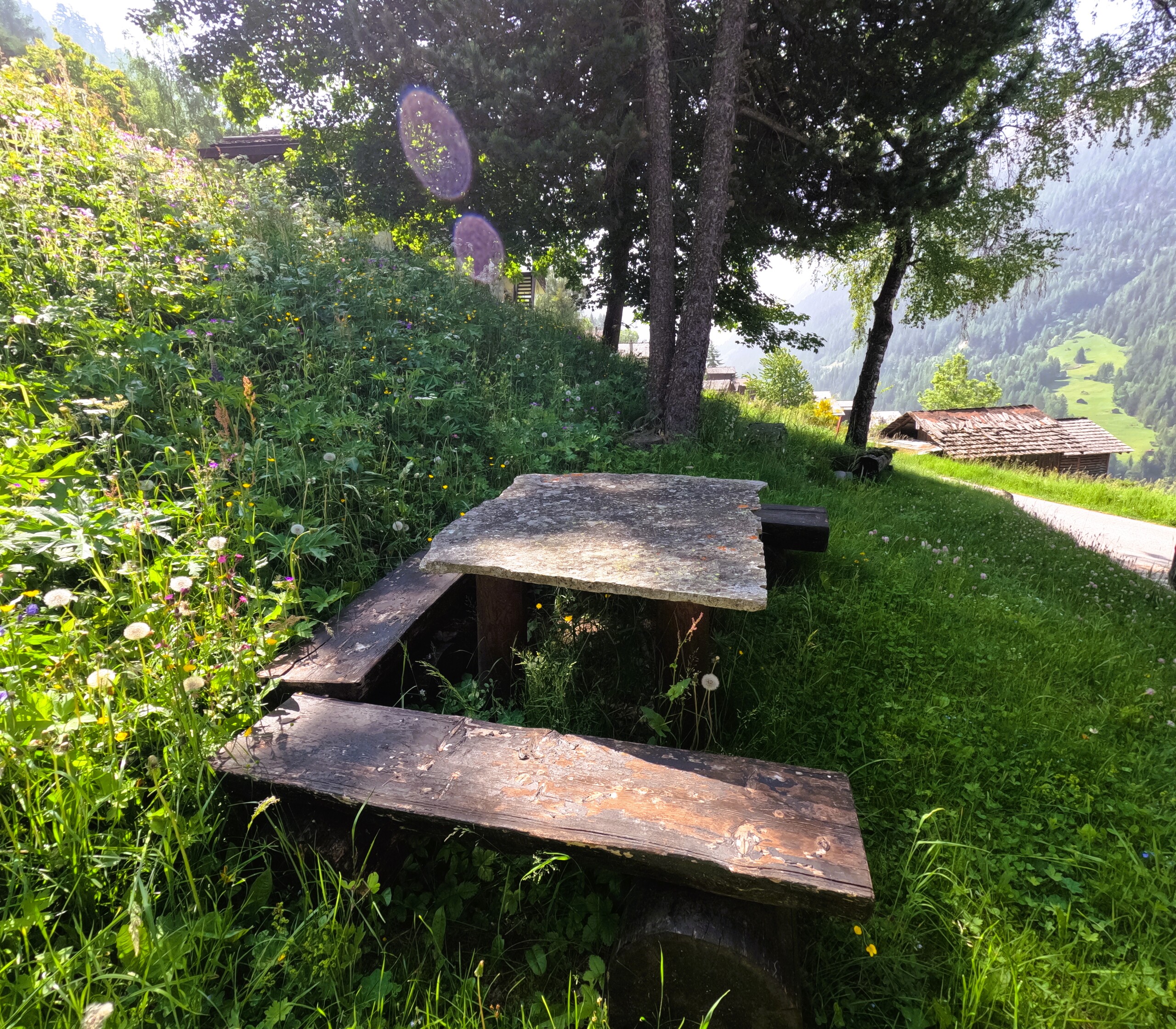 Espace détente à l'extérieur  Espace détente à l'extérieur