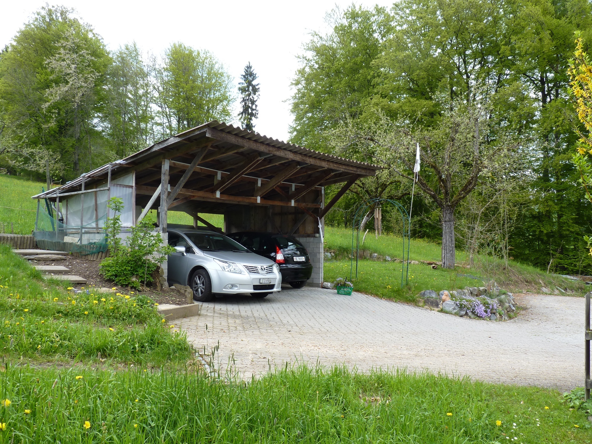 Photo 8