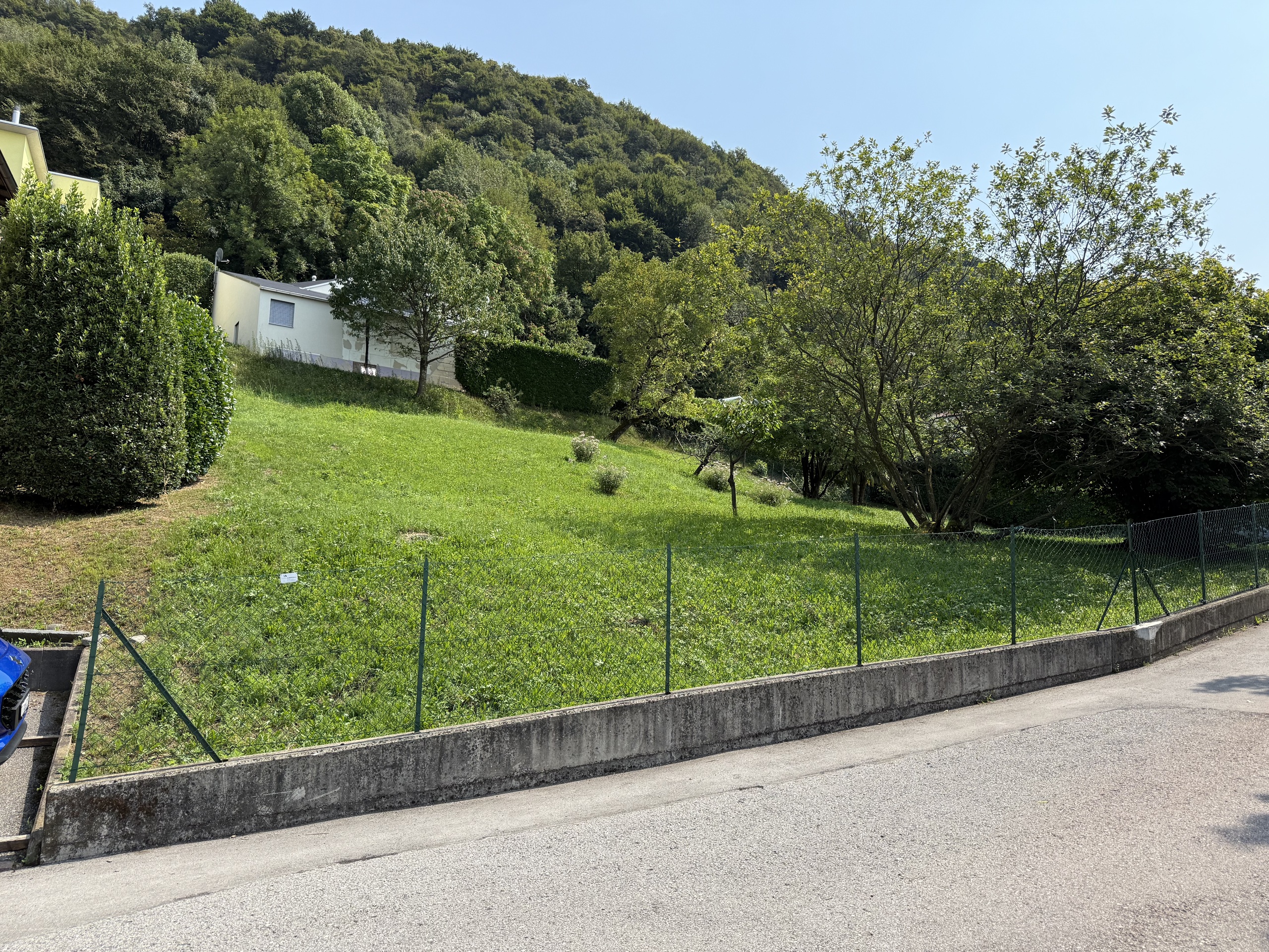 Immagine di copertina