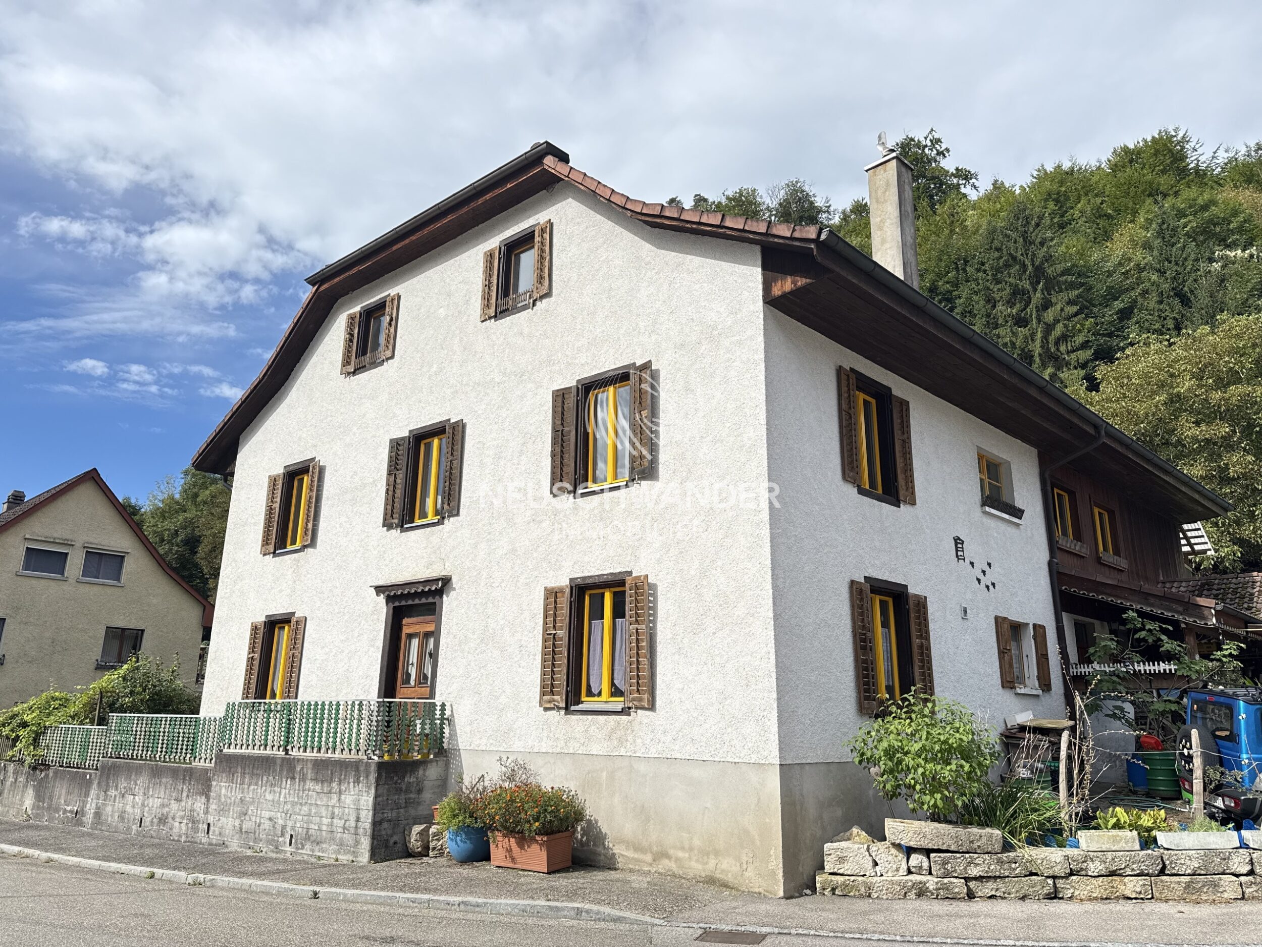 Immagine di copertina