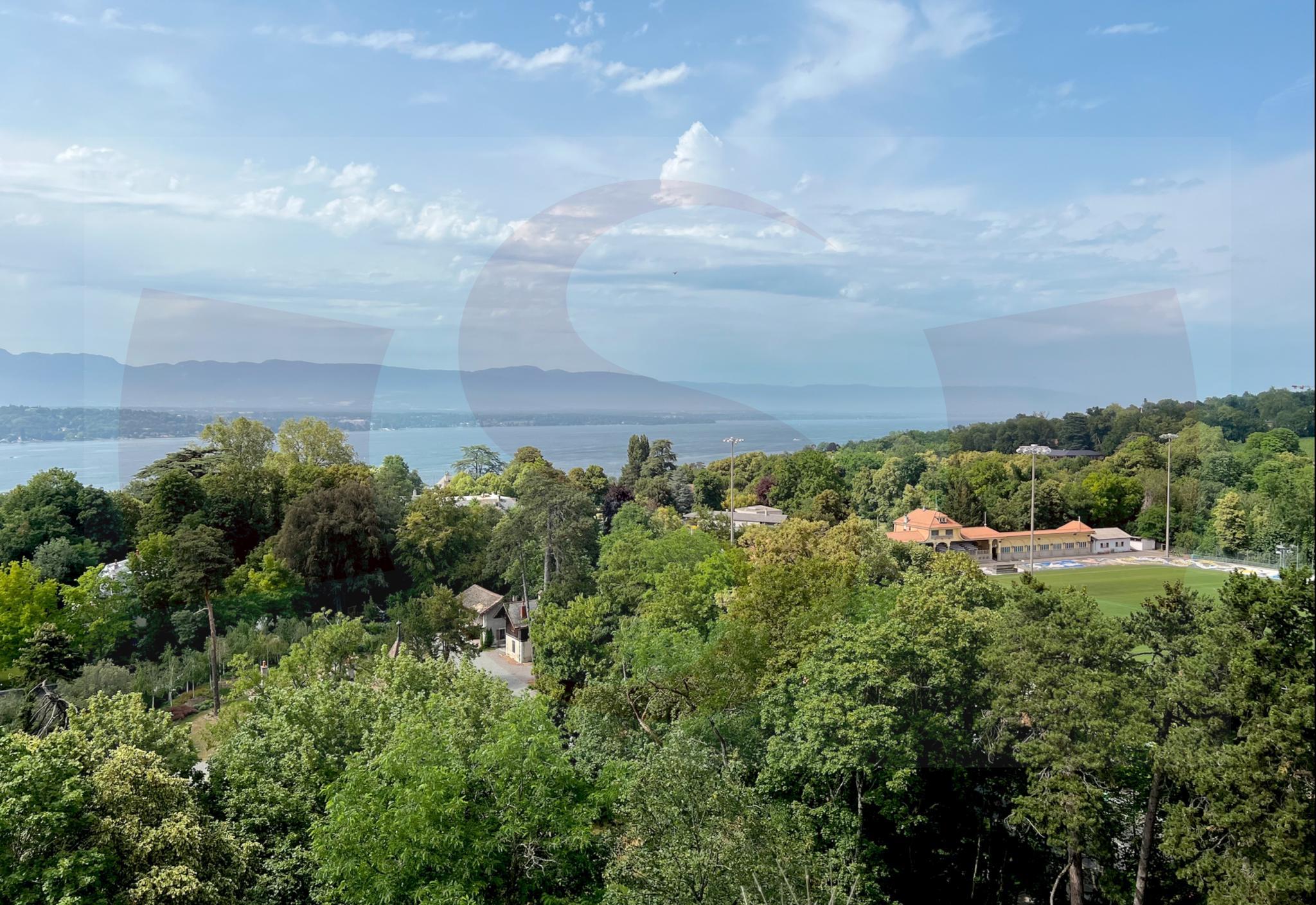 Immagine di copertina 2