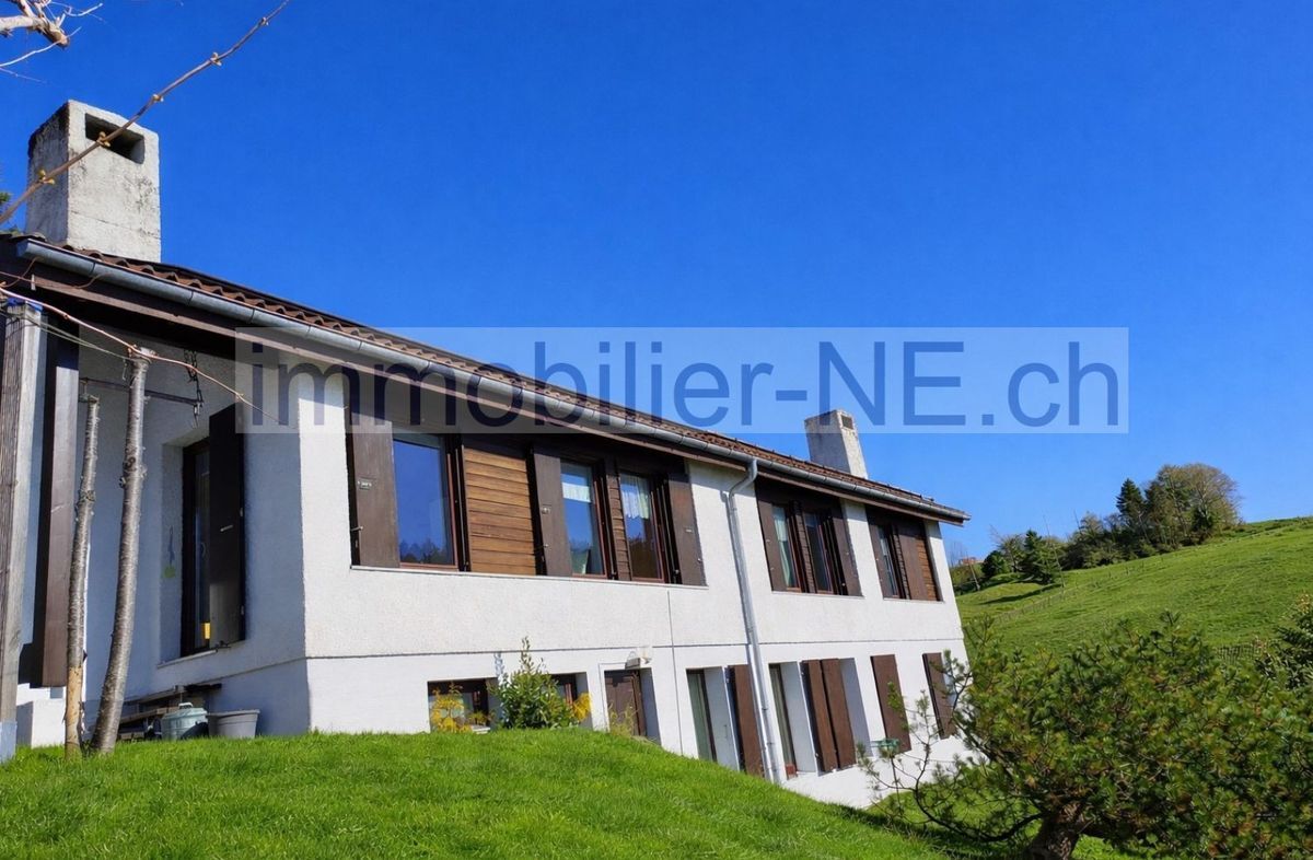 Vue extérieure de la villa avec jardin verdoyant 