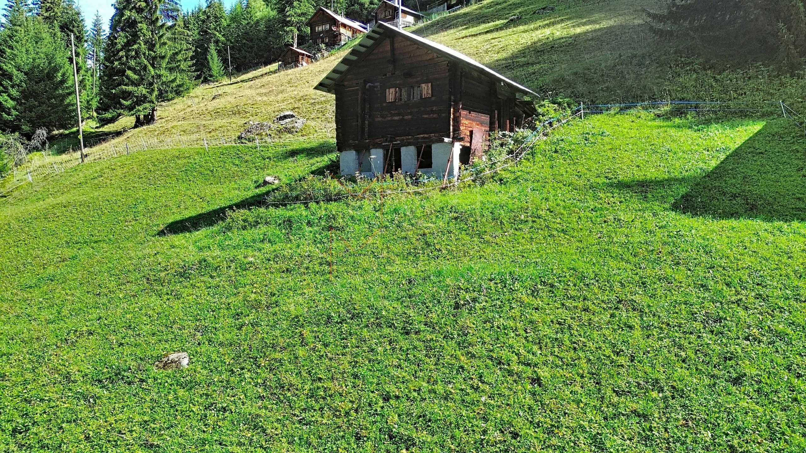 Picture 1