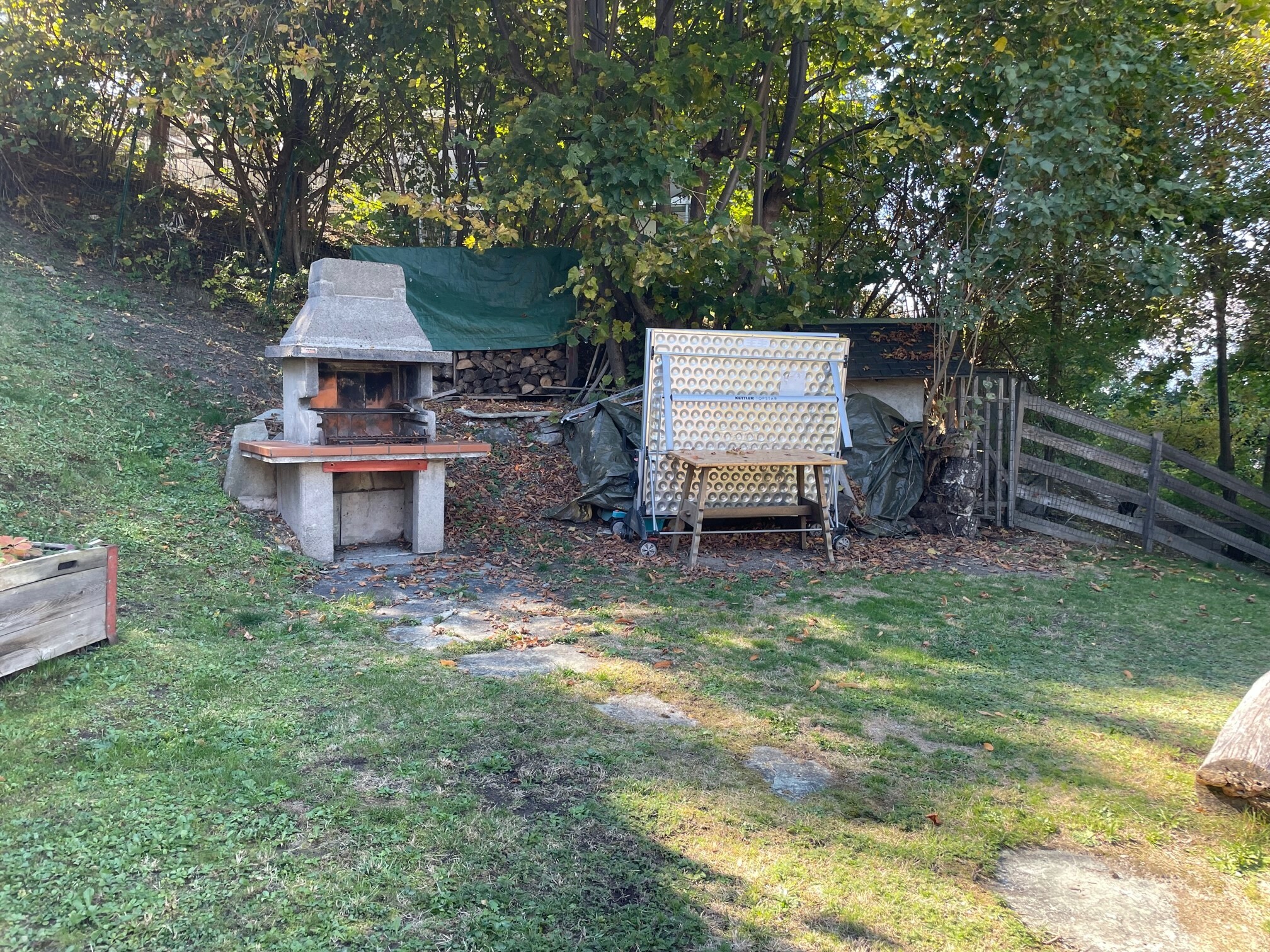 Picture 8