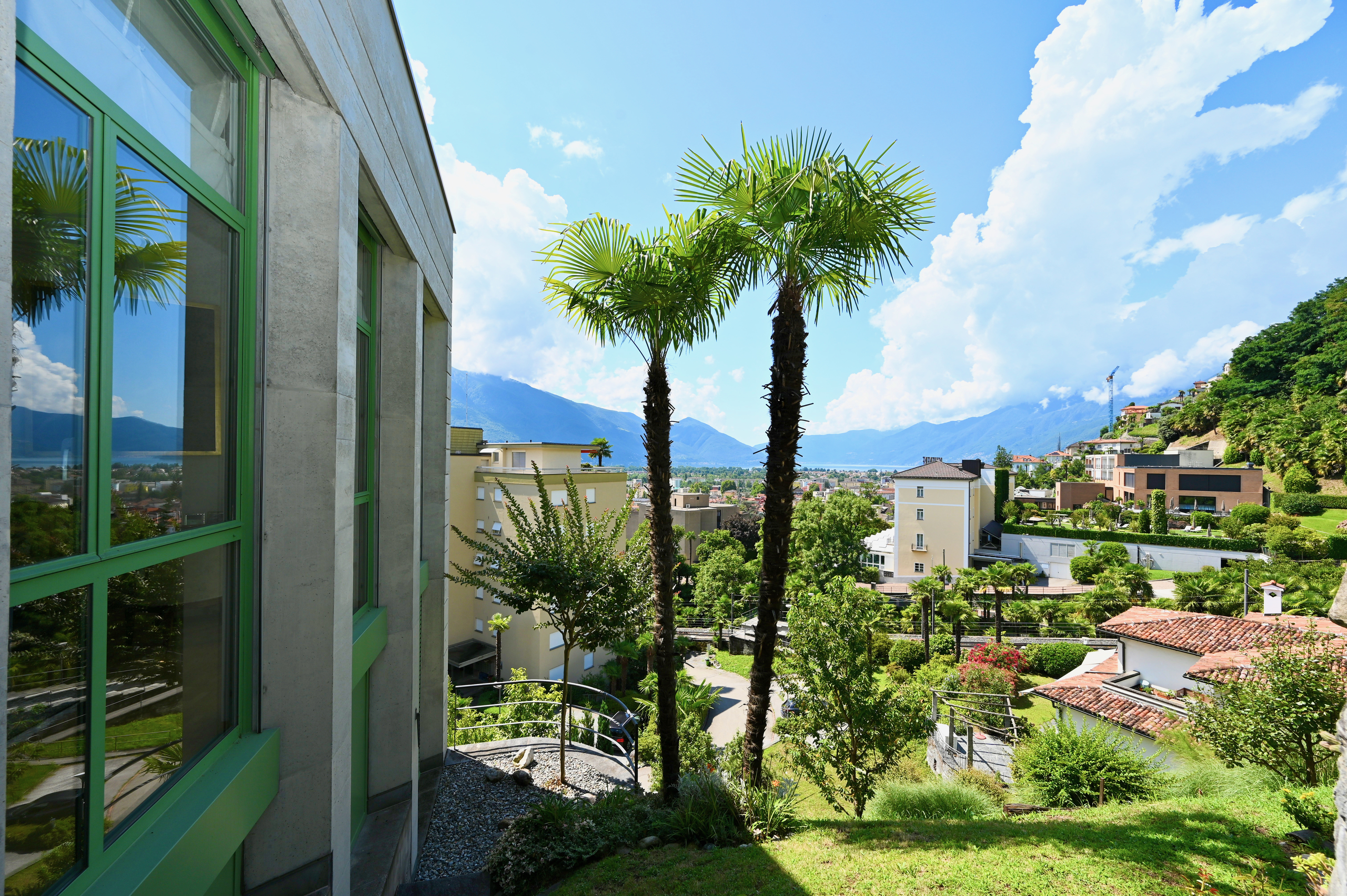 Immagine di copertina