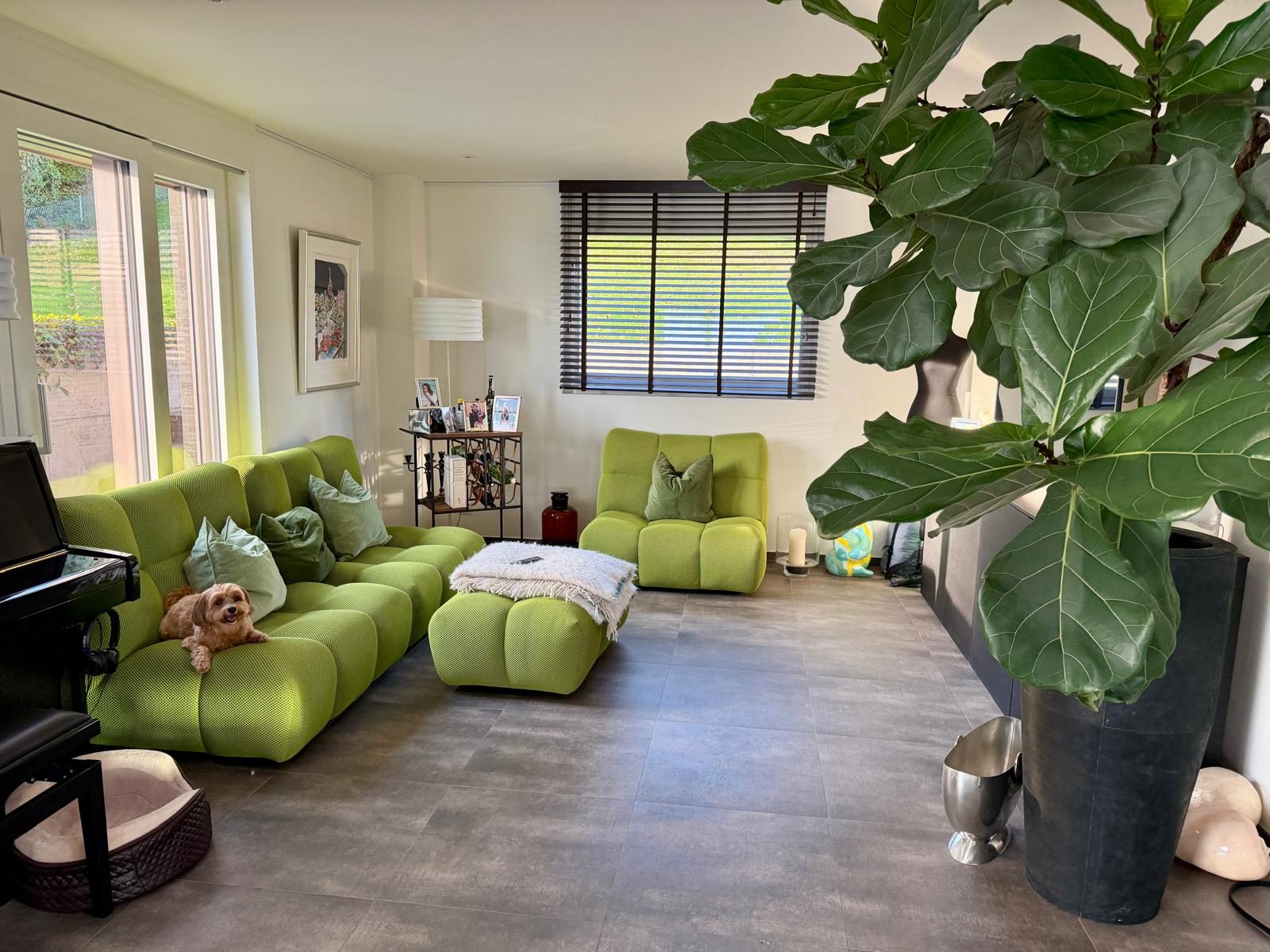 Pièce de vie avec cheminée