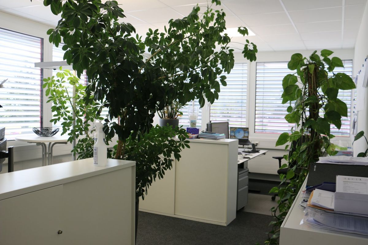 Foto 10