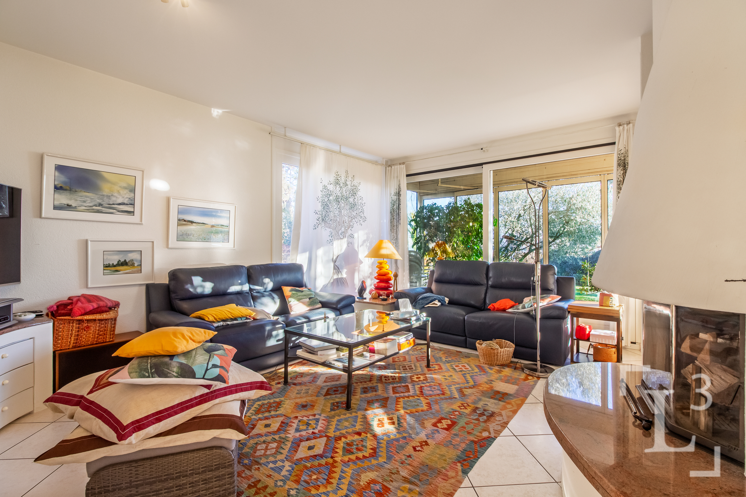 Séjour avec cheminée