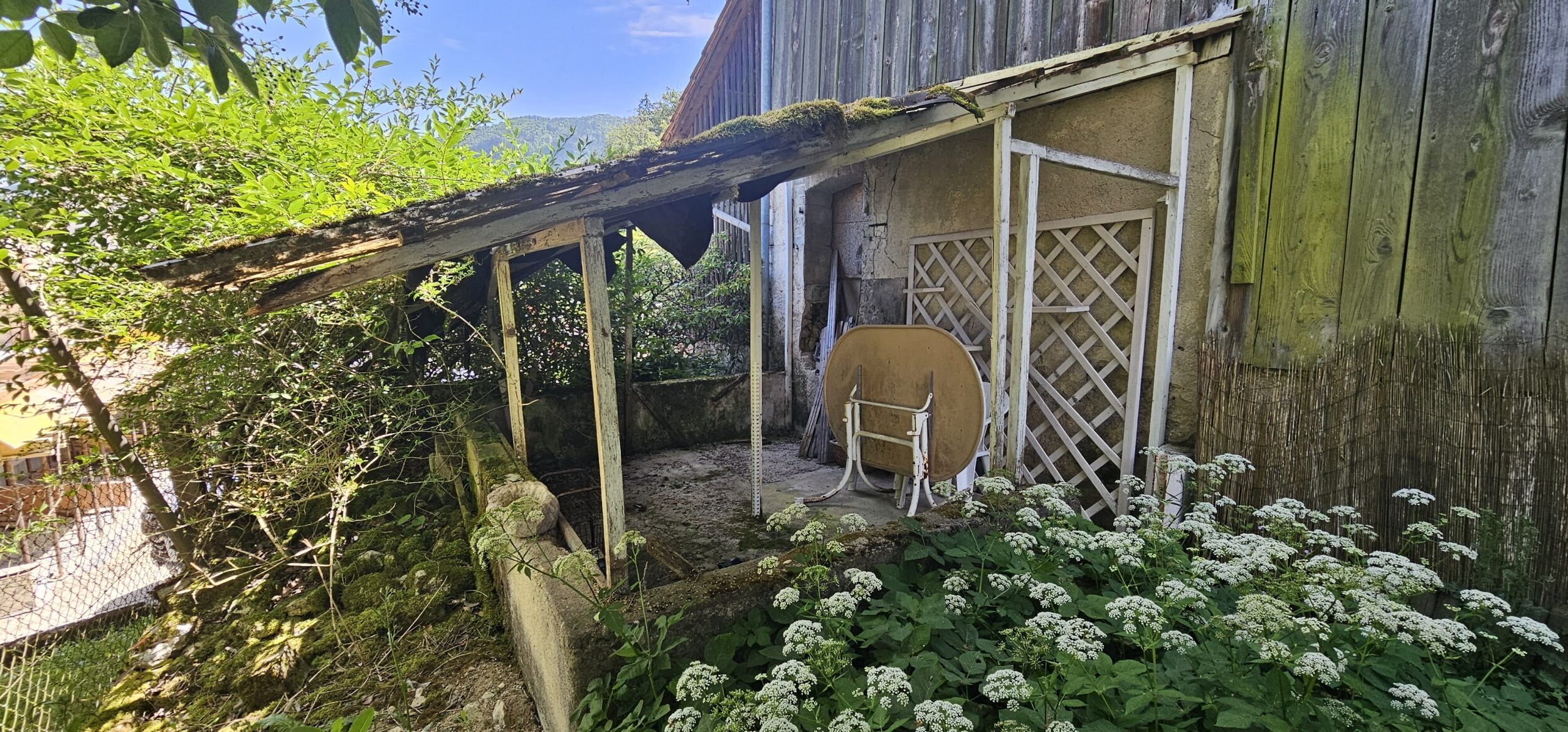 Foto 12