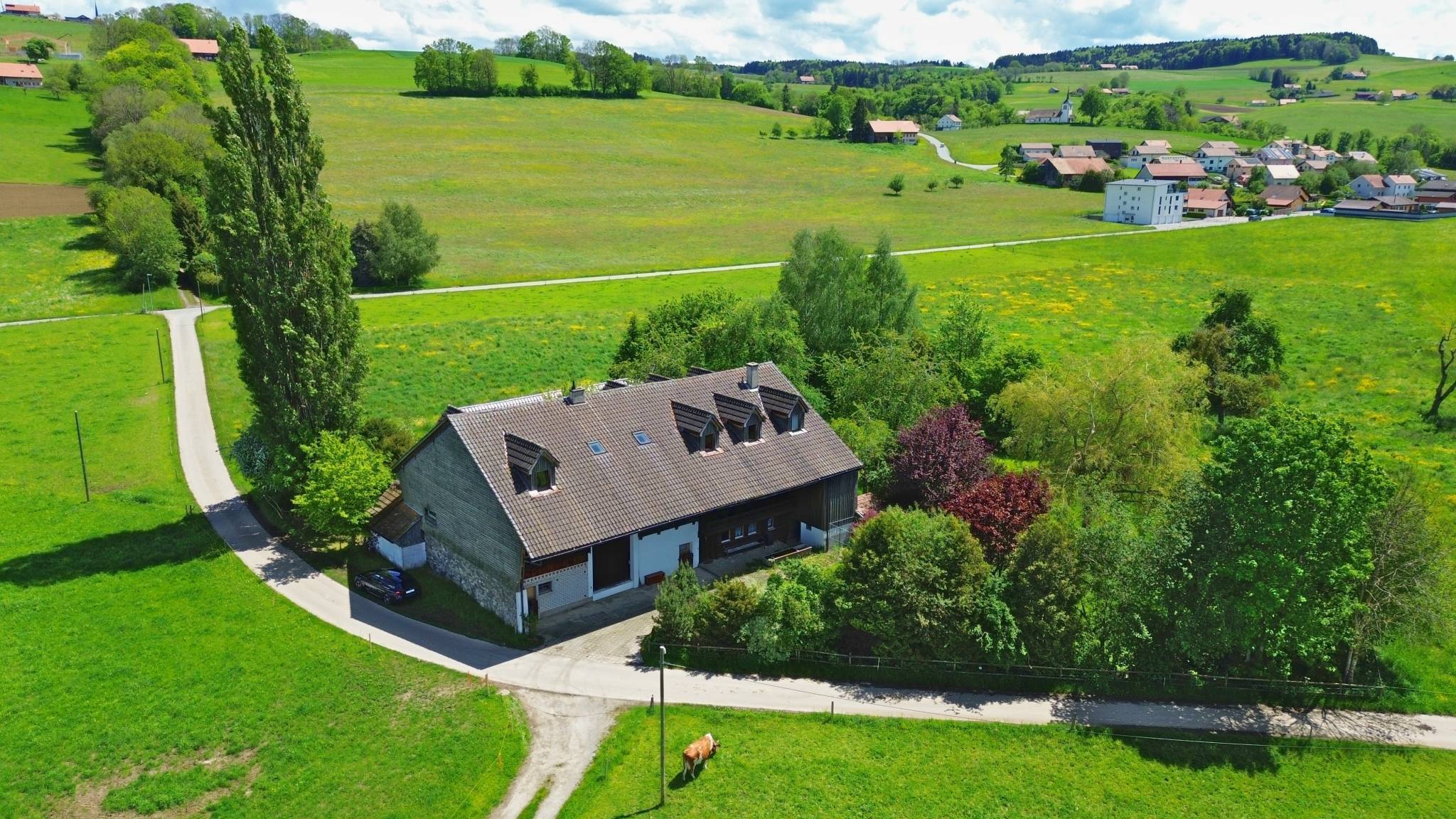 Immagine di copertina