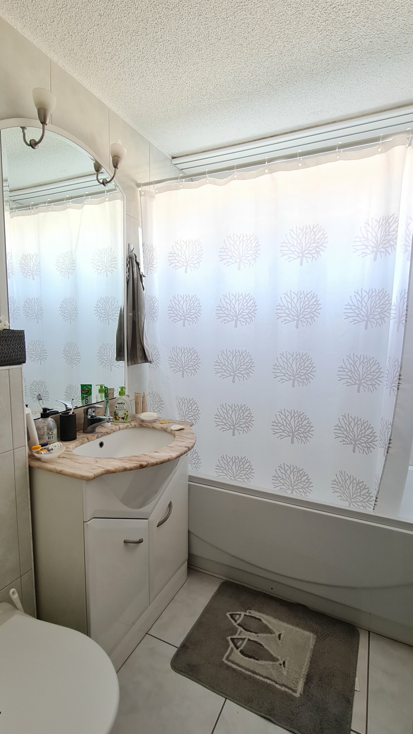 Salle de bain / Baignoire Salle de bain / Baignoire