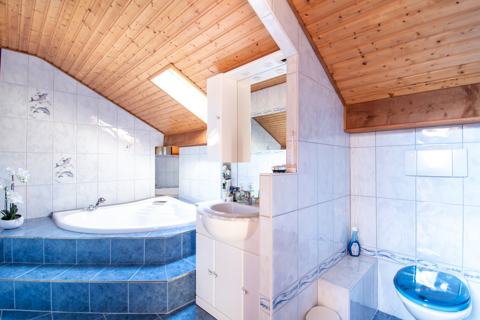 Interior view 9
