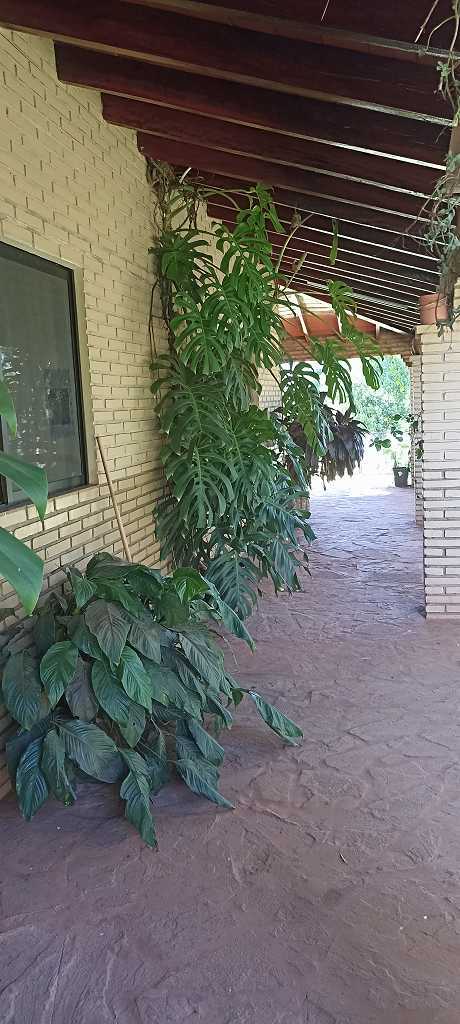 Foto 28