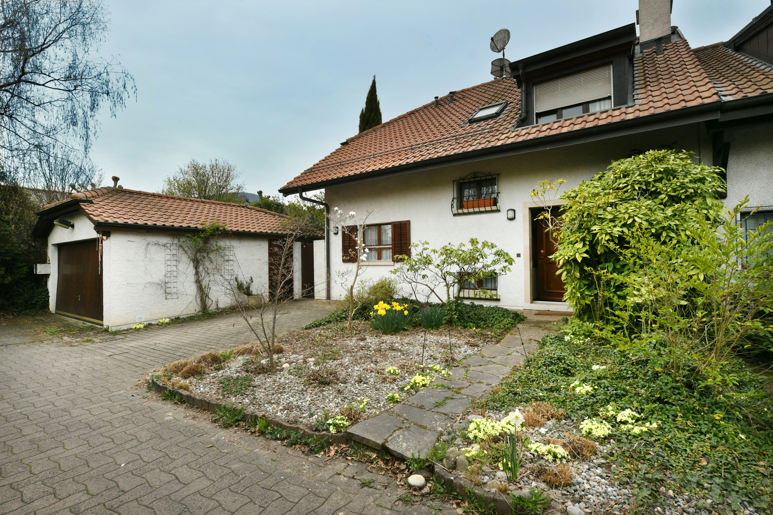 Firstview