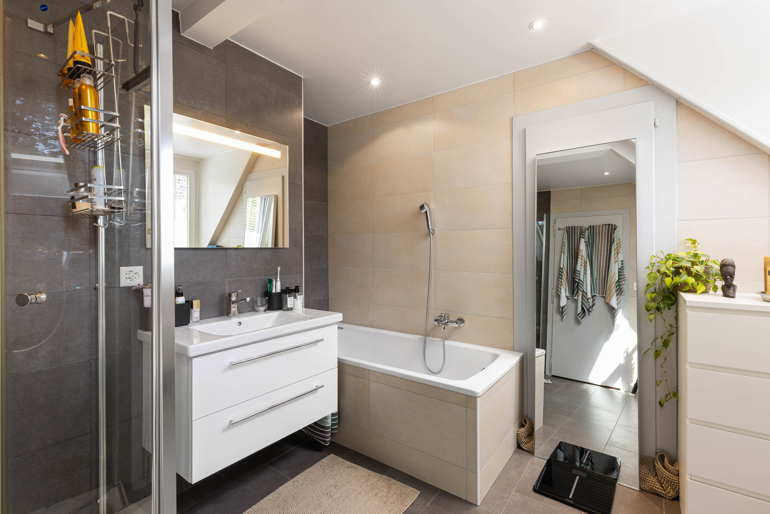 Salle de bains douche en suite