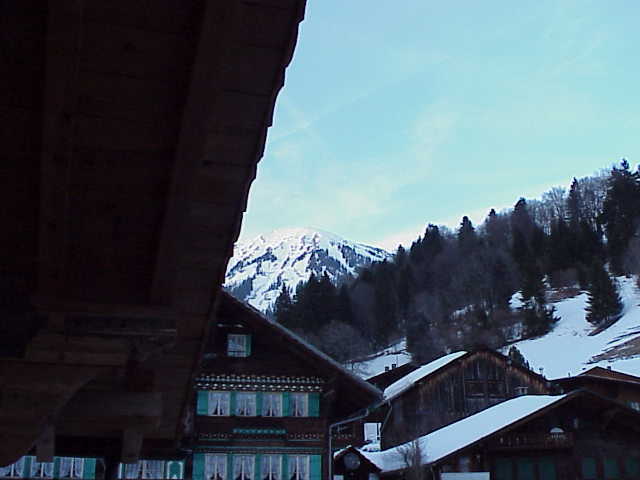 Photo 23