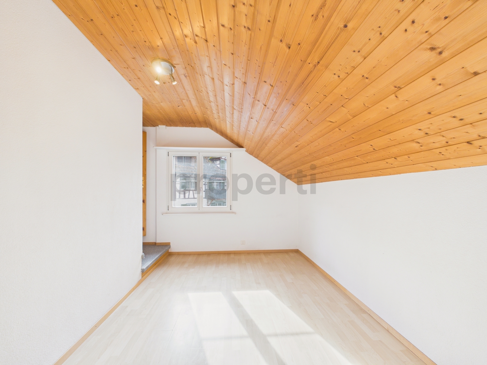 Picture 8