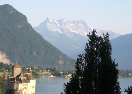 Immagine di copertina