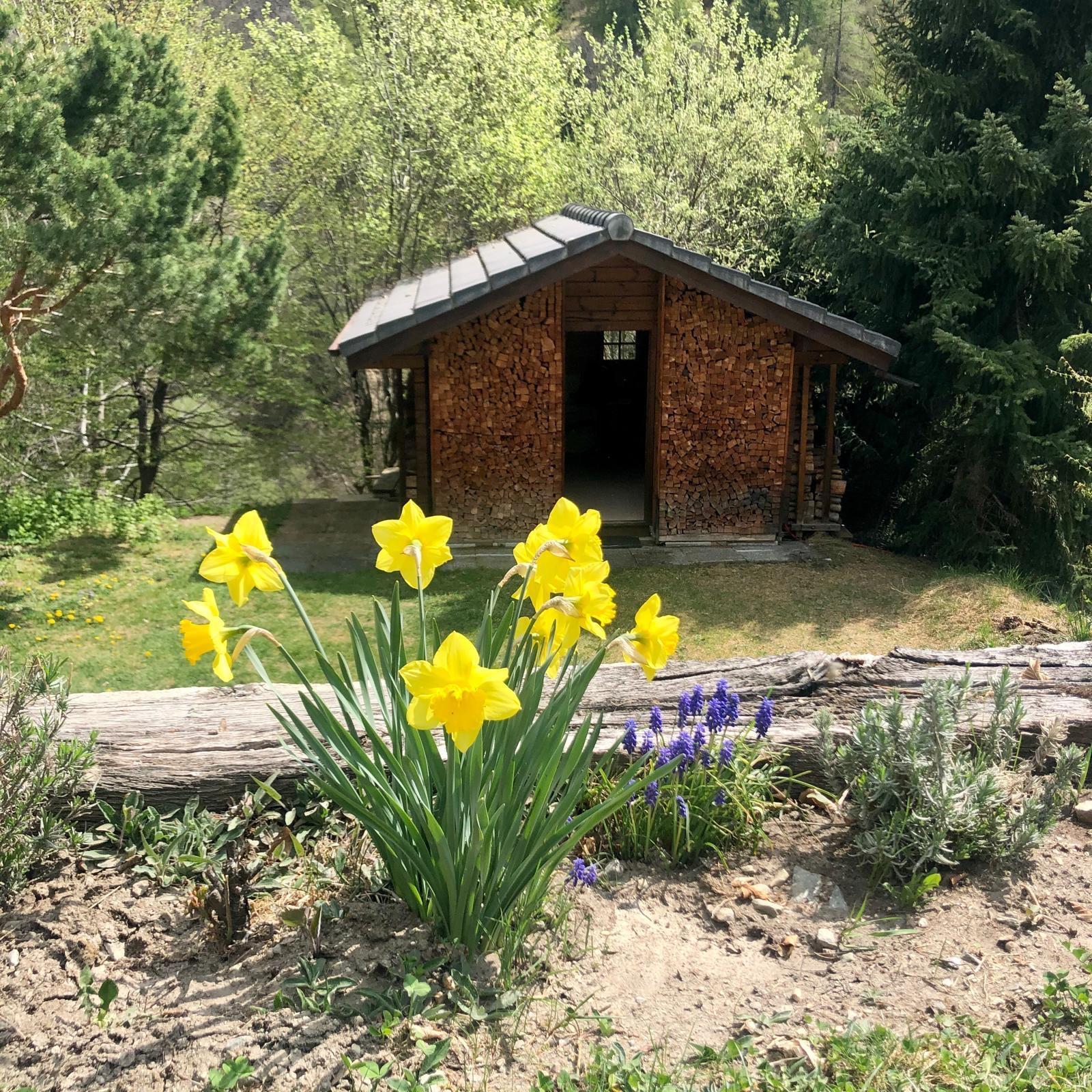 Foto 11