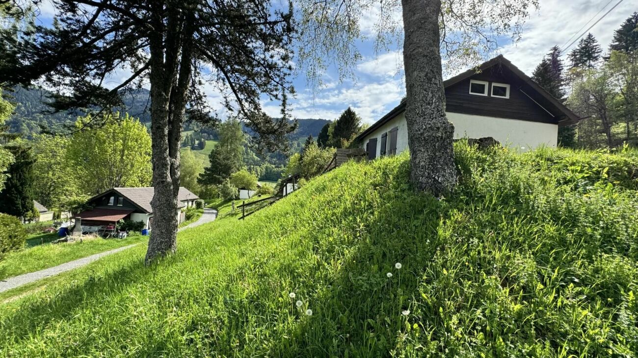 Foto 19