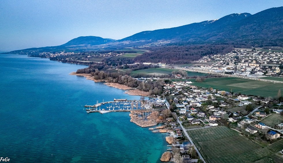 Immagine di copertina