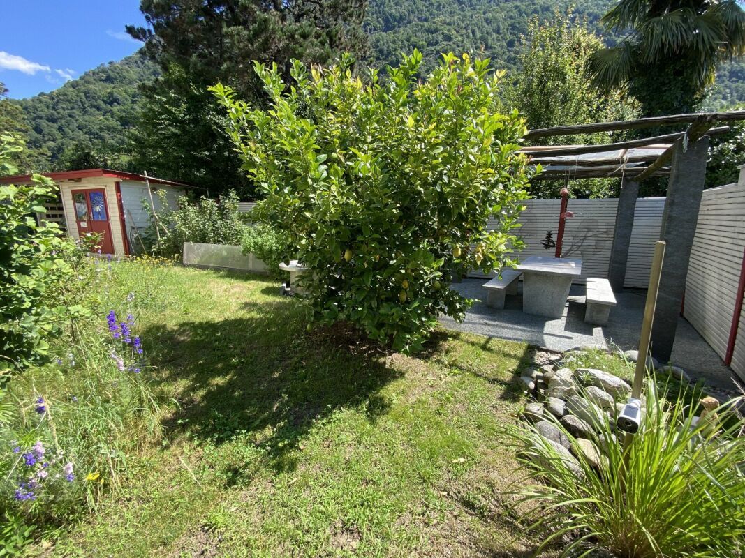 Photo 4