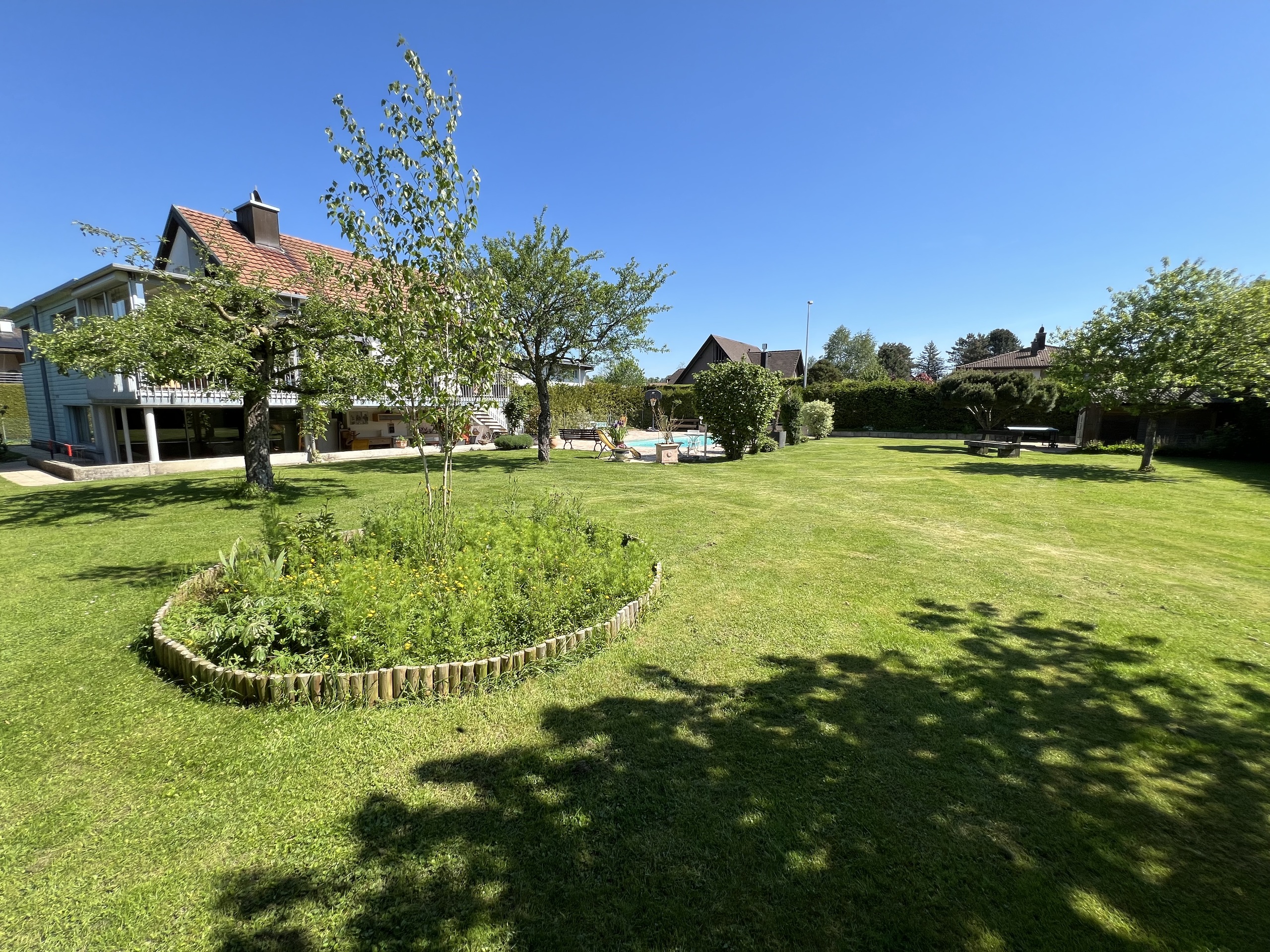 Garden with fruit trees Garden with fruit trees