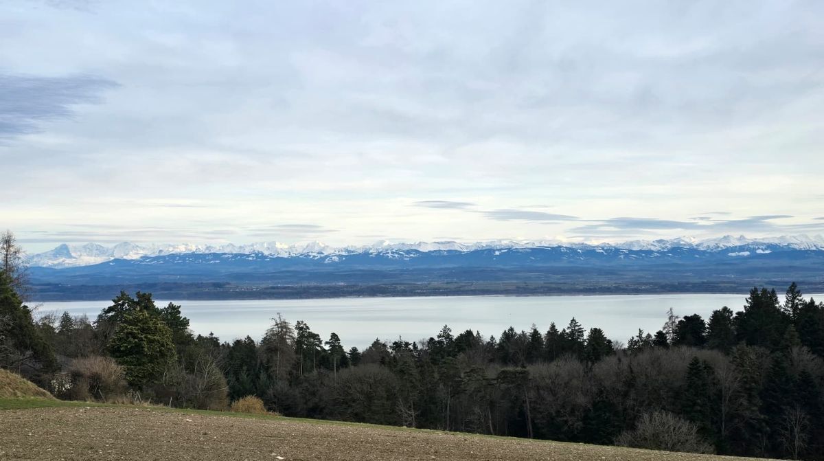 Vue imprenable sur le lac et les montagnes enneigées.
