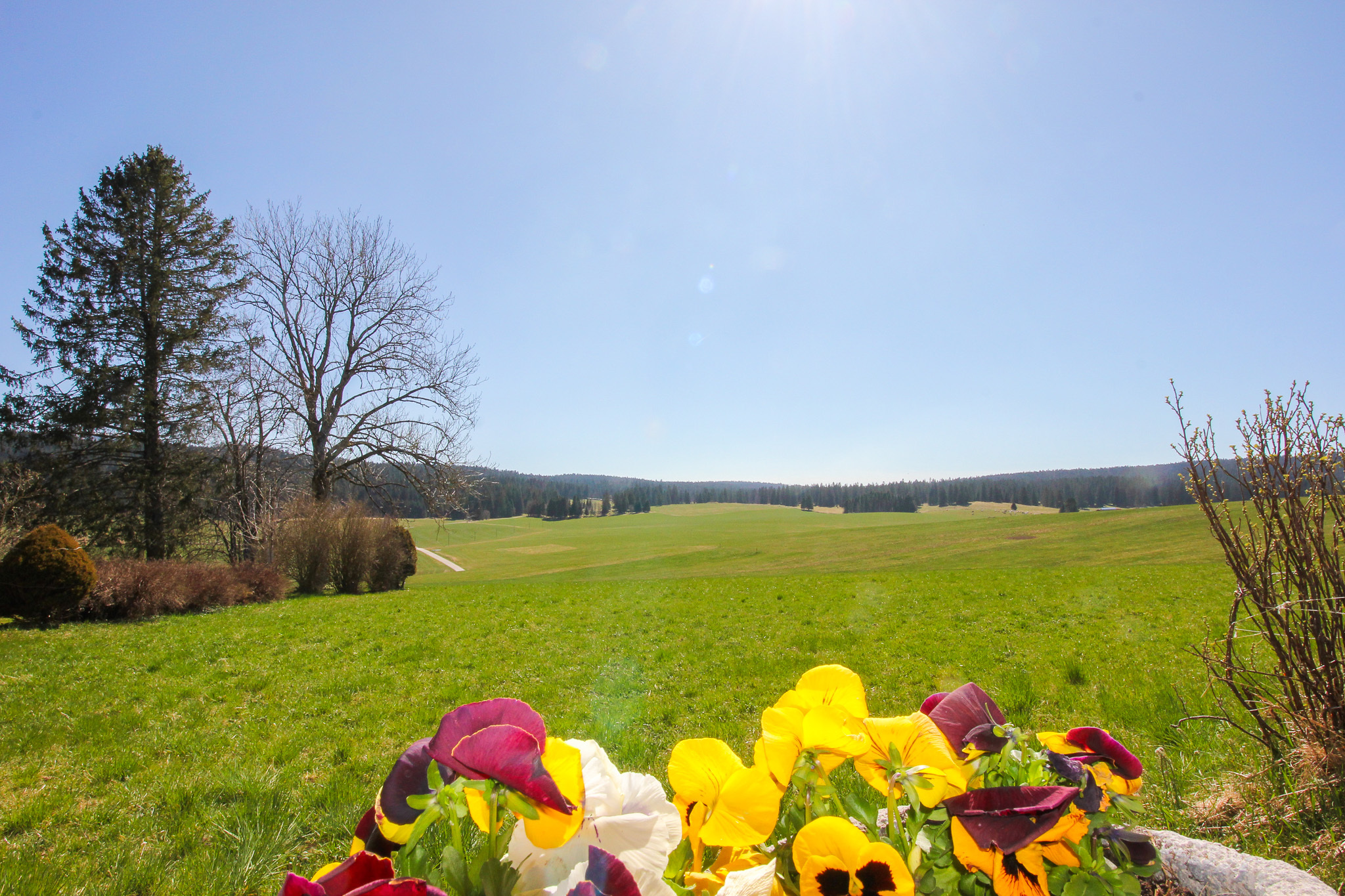 Magnifique dégagement sur les champs environnants