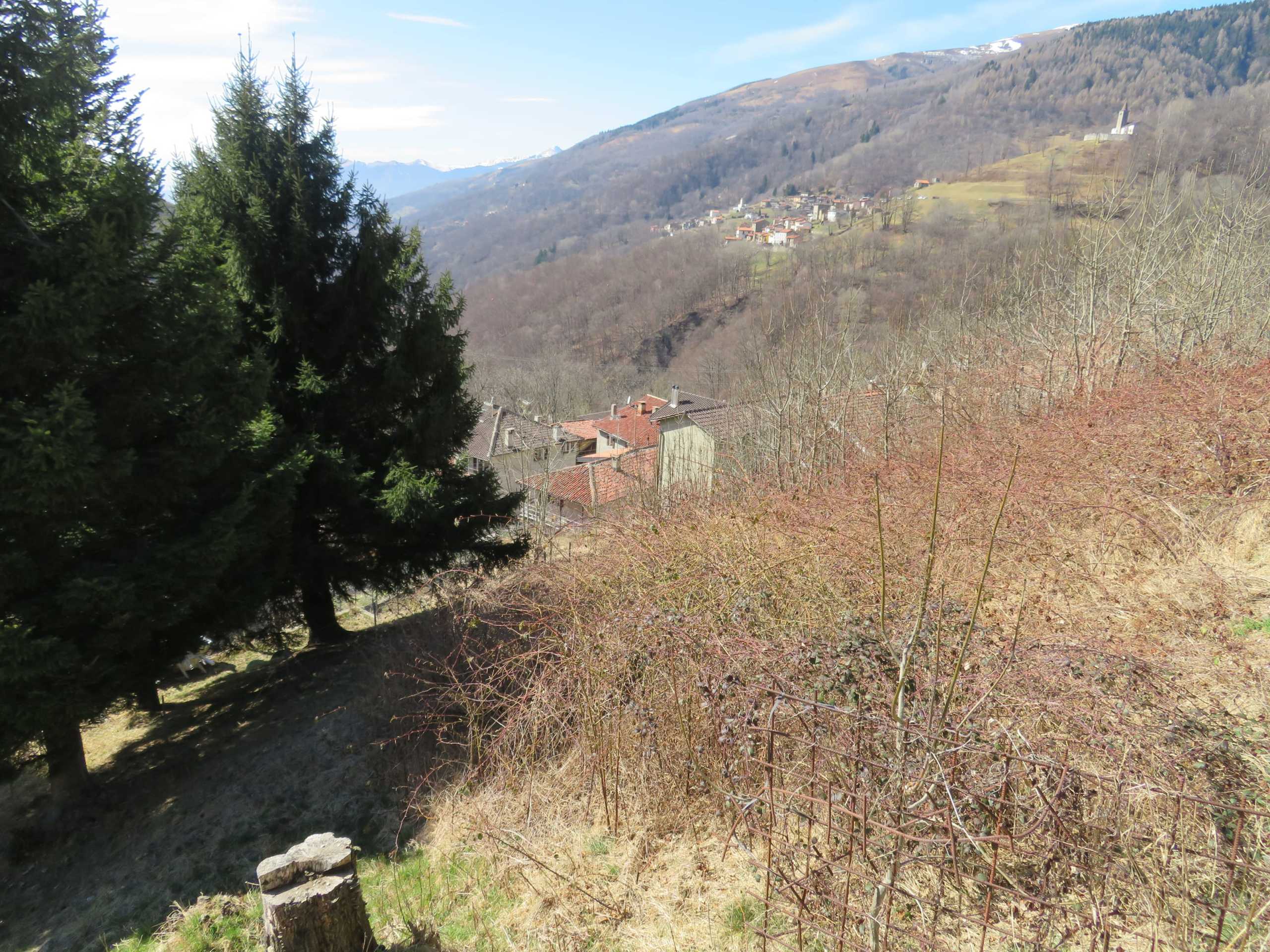 Immagine di copertina