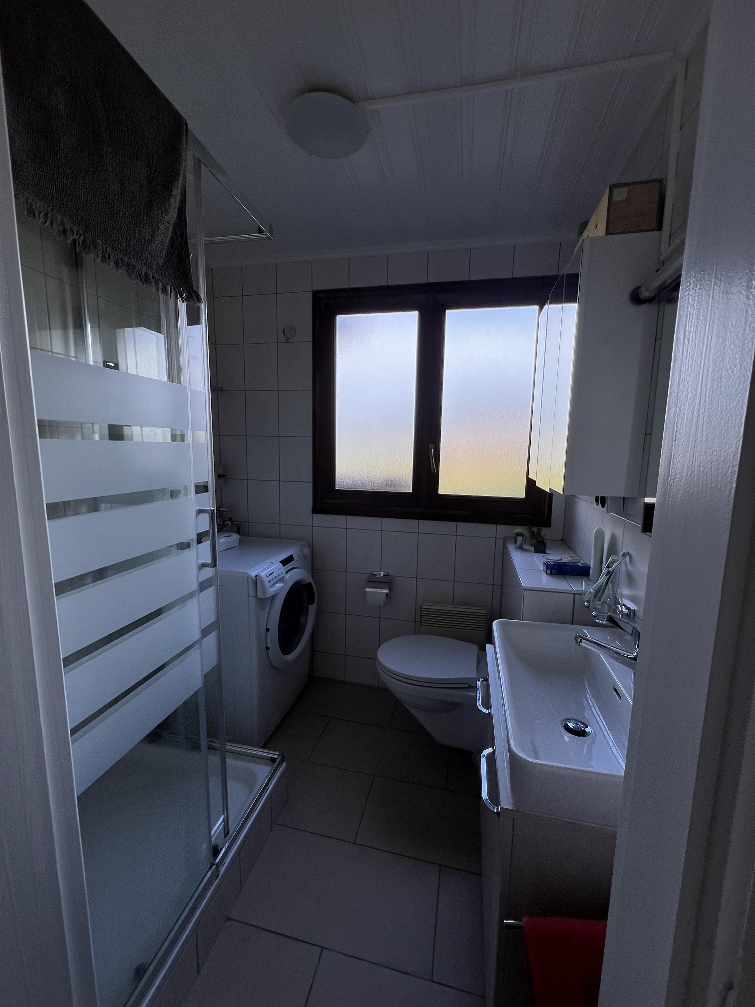 Salle de douche/WC + Lave linge