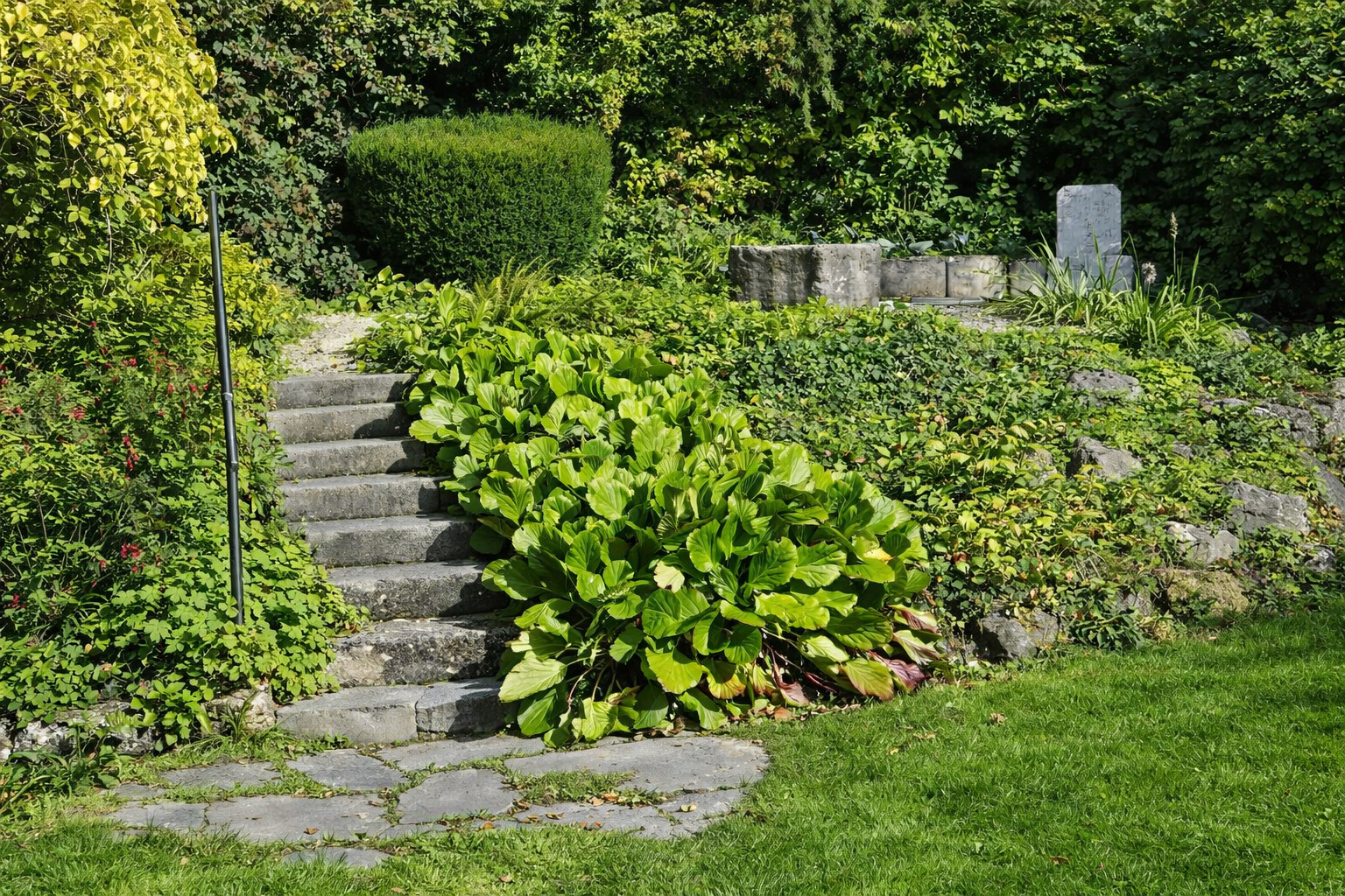 Aussenansicht 2