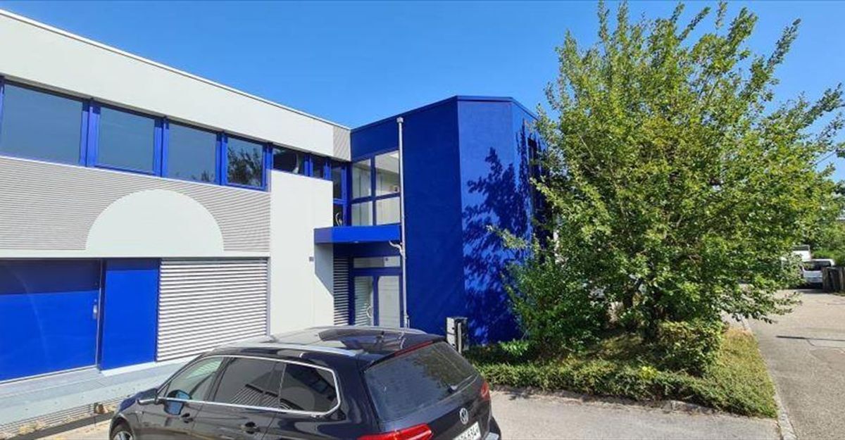 Picture 12