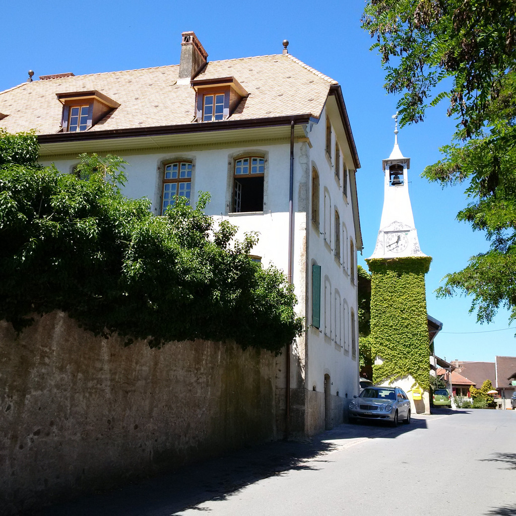 Foto 1