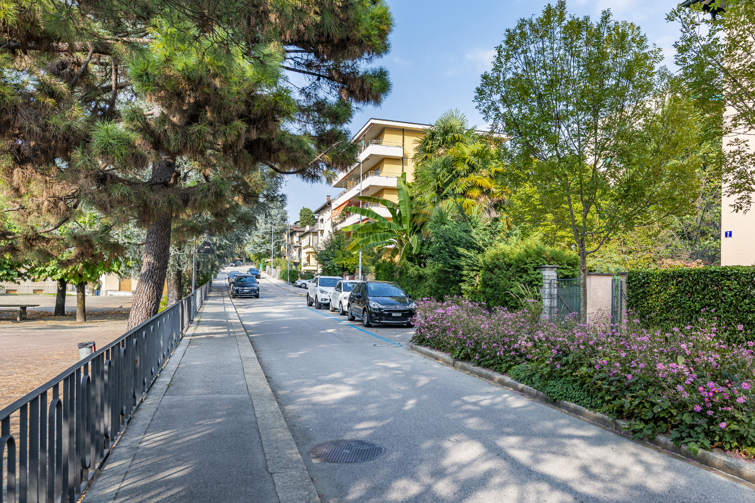 Immagine di copertina