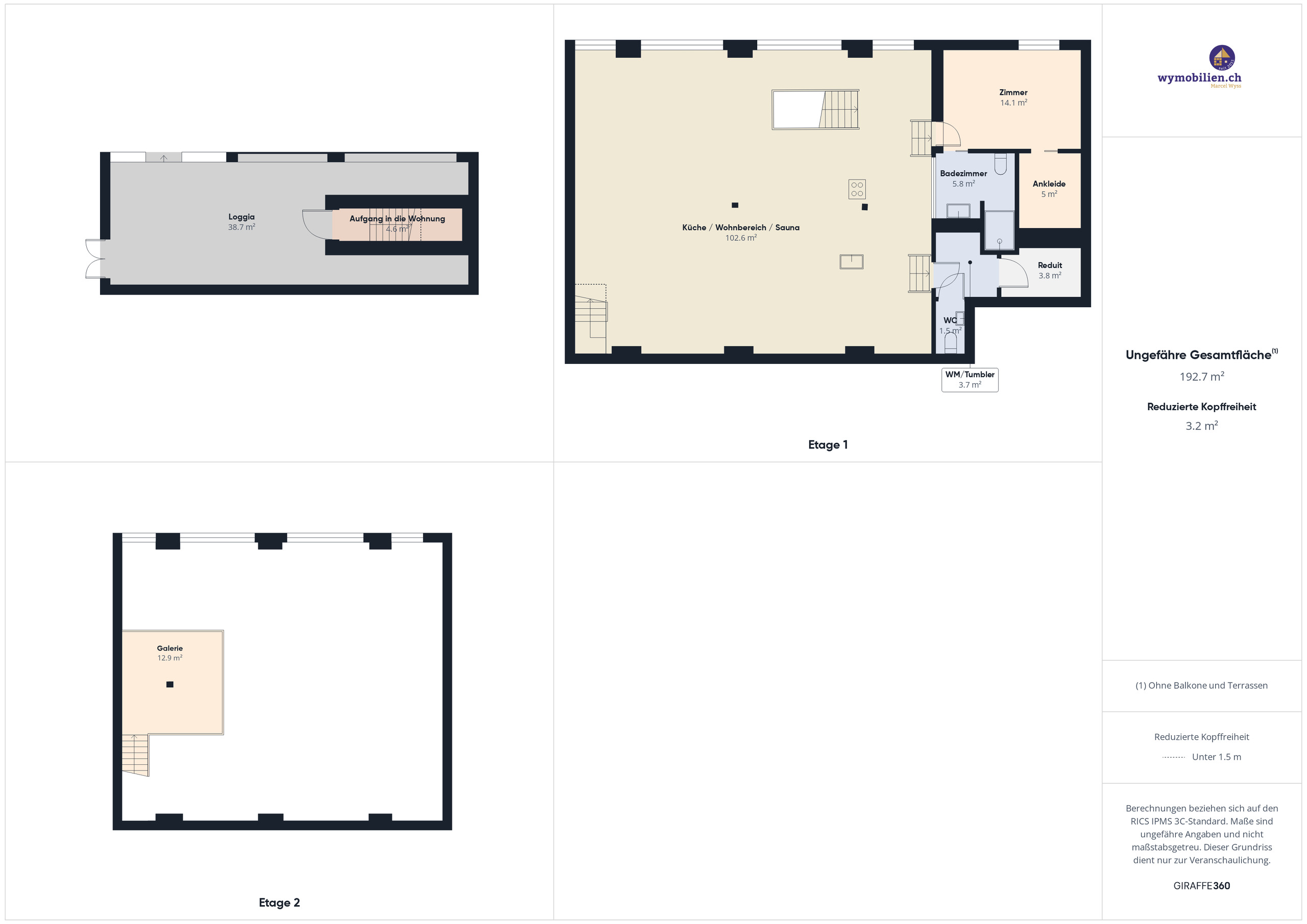 Saalwohnung mit Loggia und Galerie