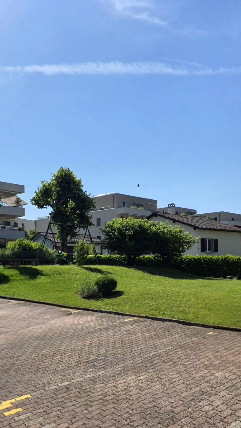 Jardin immeuble