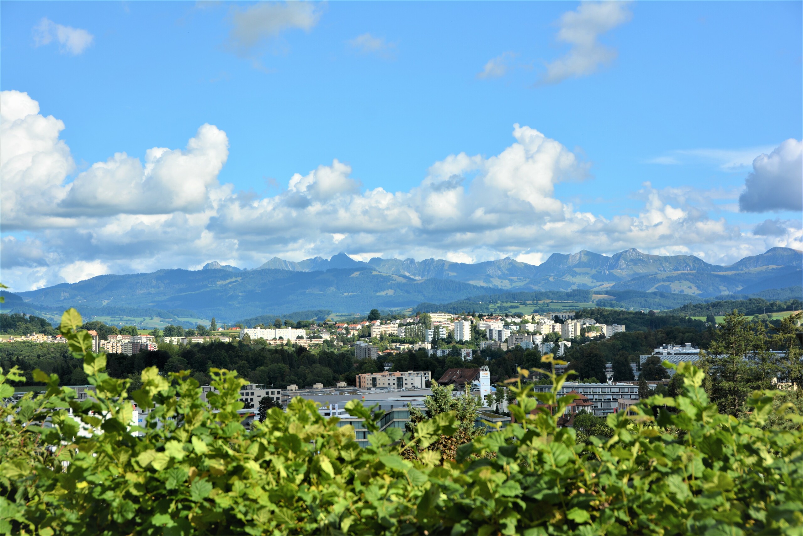 vue sud-ouest du 1er étage
