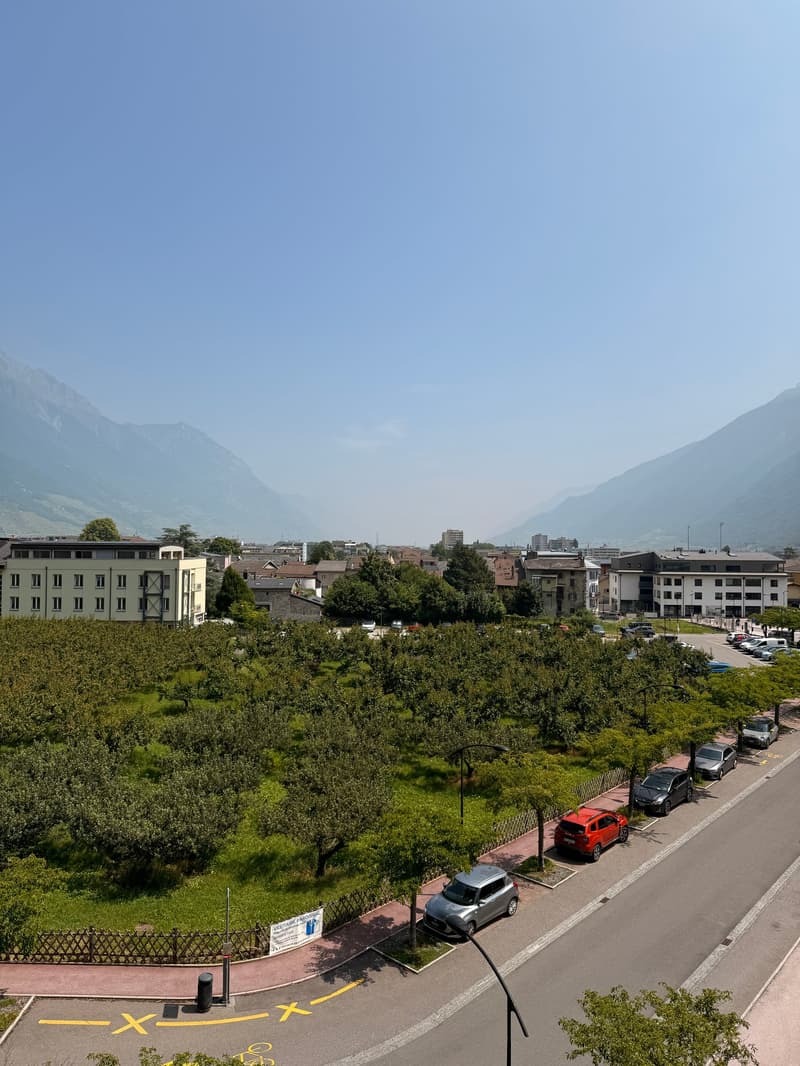 Premier coup d'oeil 1