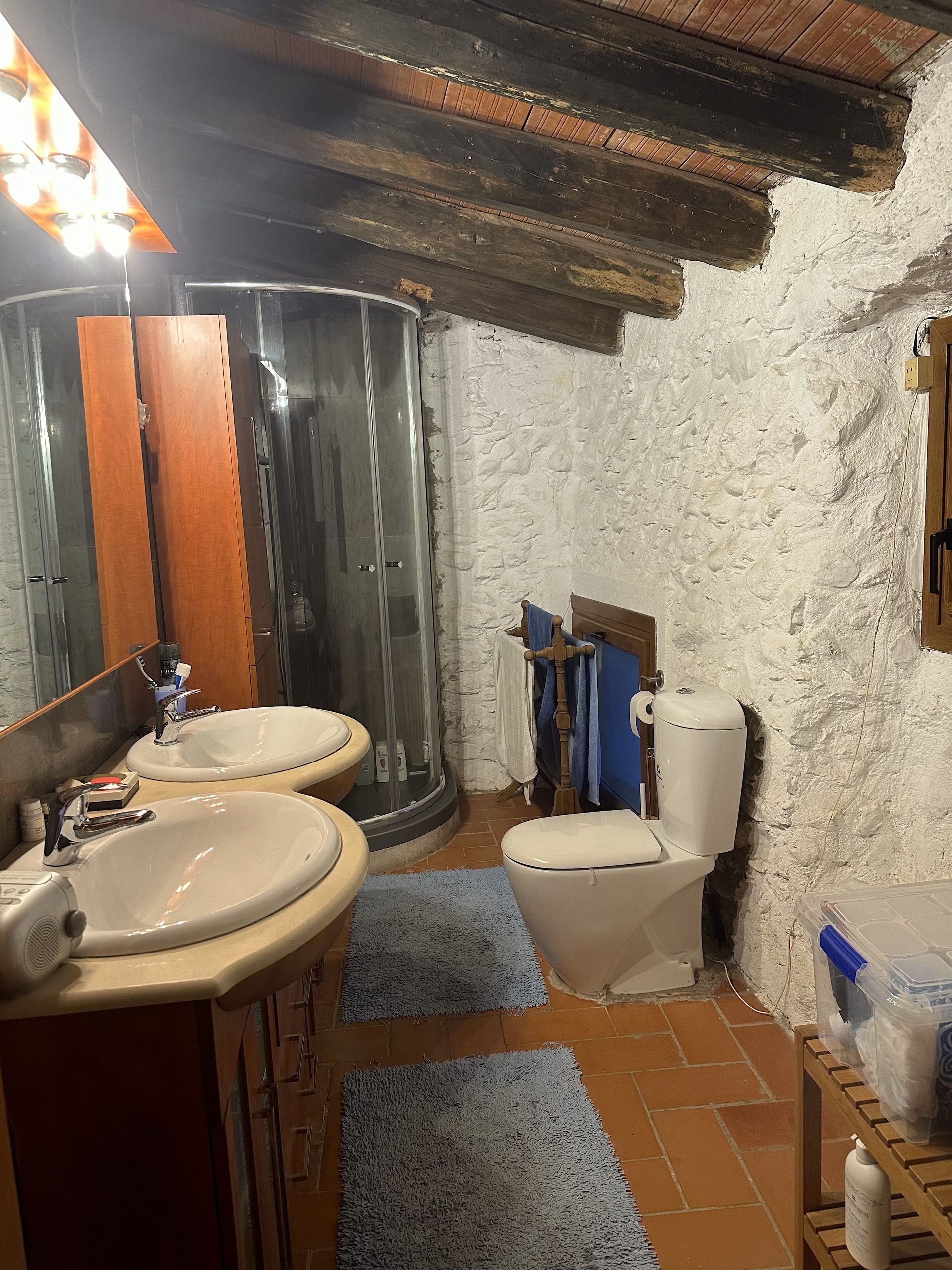 une salle de bains avec toilettes, lavabo, douche et miroir une salle de bains avec toilettes, lavabo, douche et miroir