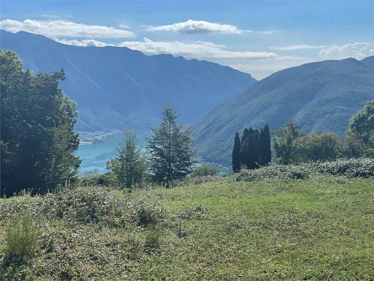 Immagine di copertina