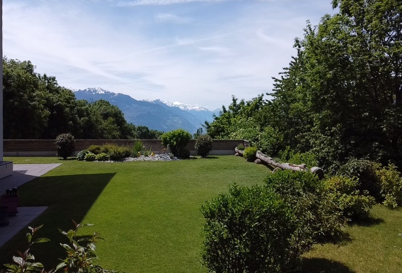 Foto 2
