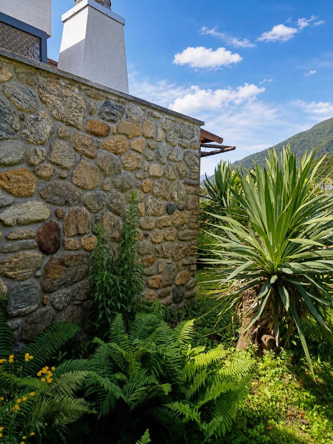 Vista esteriore 5