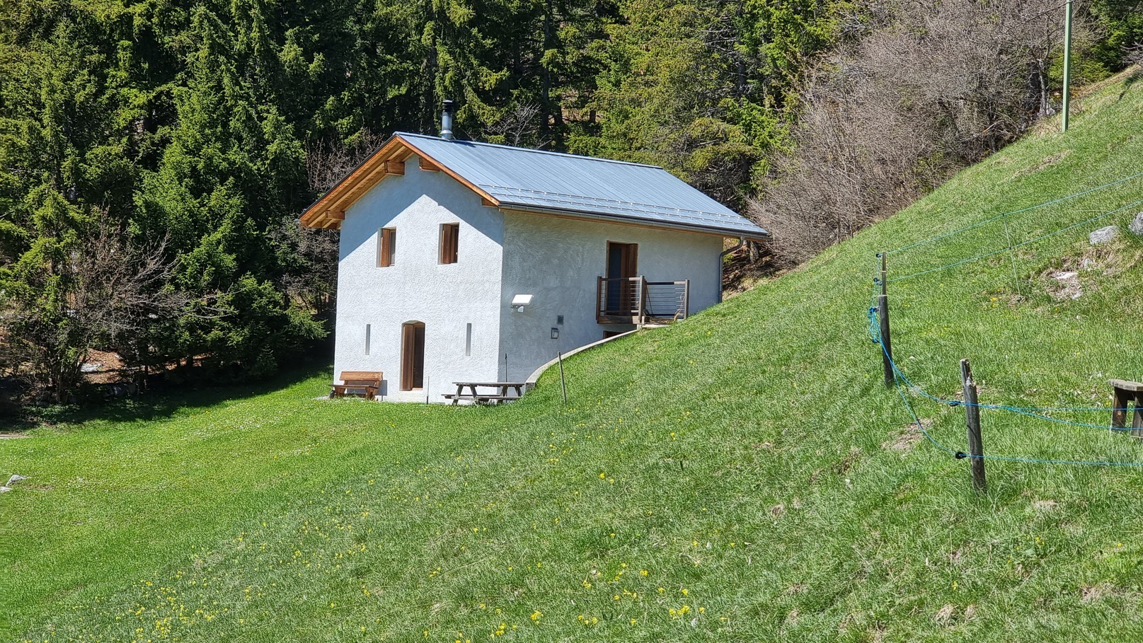 Photo 12